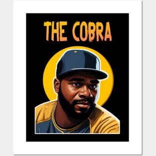 The Cobra Posters and Art